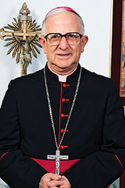 Dom Amaury Castanho † - Arquidiocese de Campinas SPArquidiocese de Campinas  SP